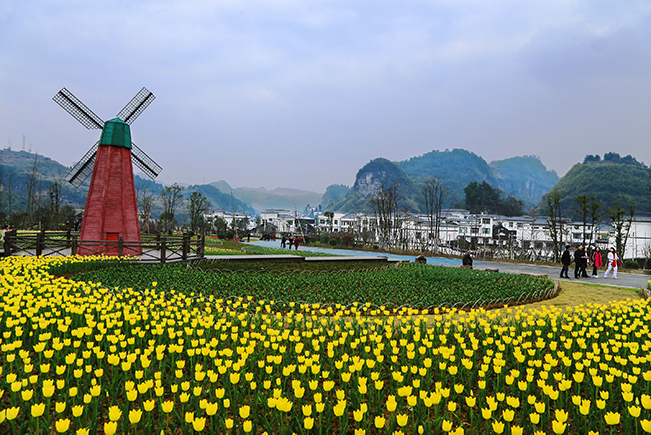 《美在百花渡 》